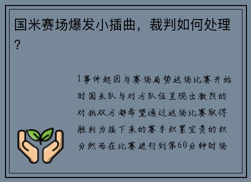 国米赛场爆发小插曲，裁判如何处理？